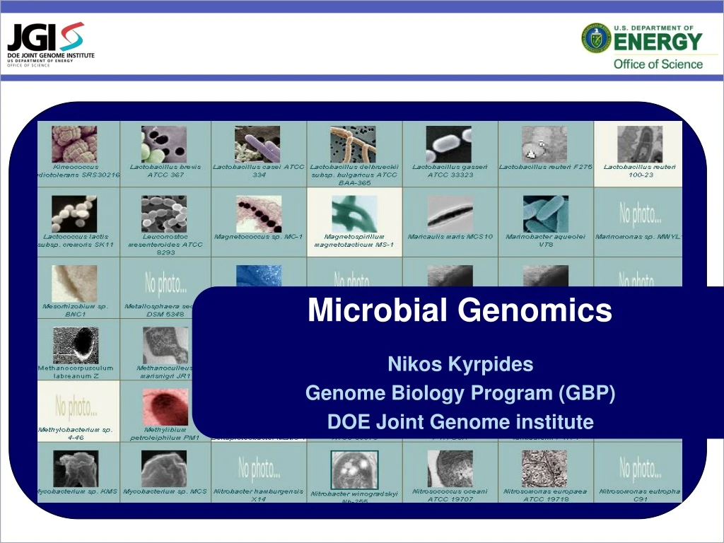 microbial genomics