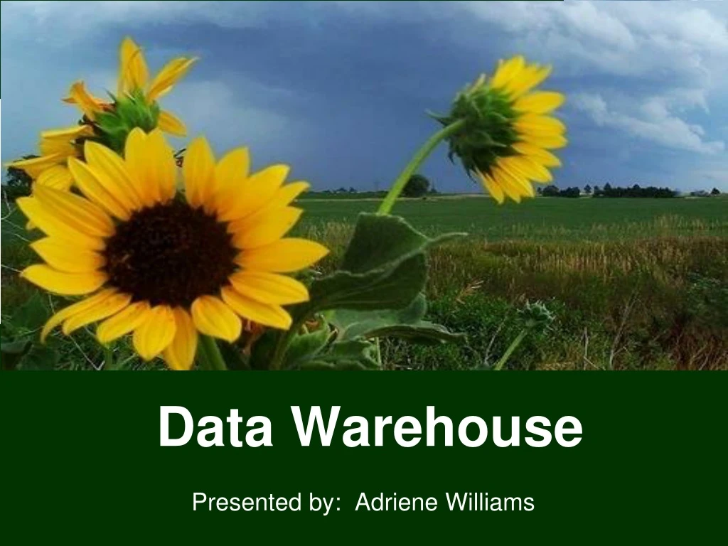 data warehouse