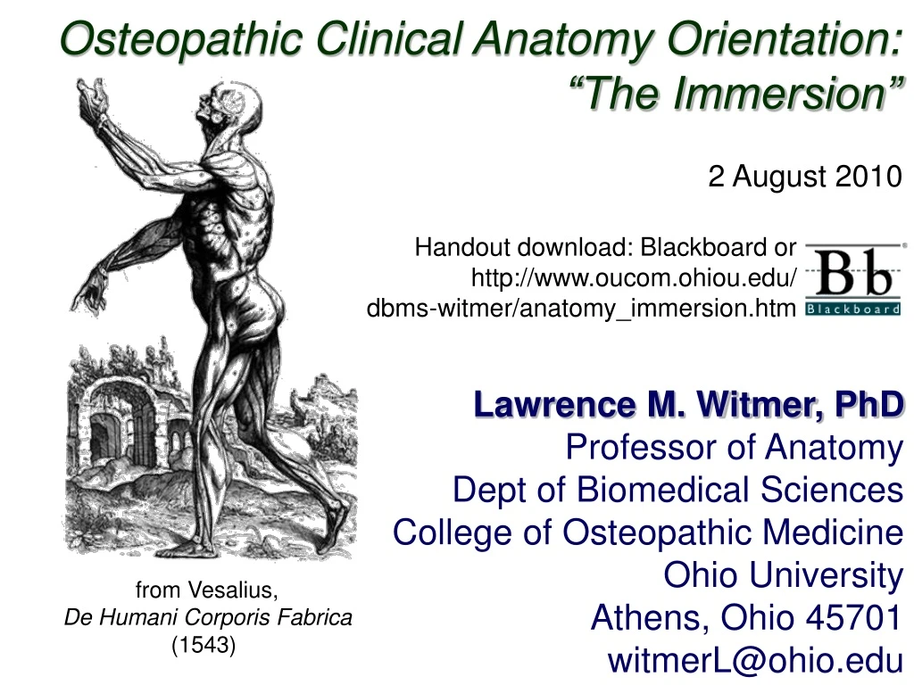 osteopathic clinical anatomy orientation