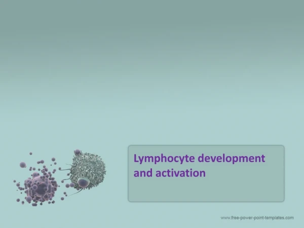 Lymphocyte development and activation