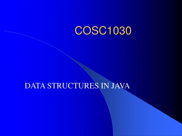 COSC1030