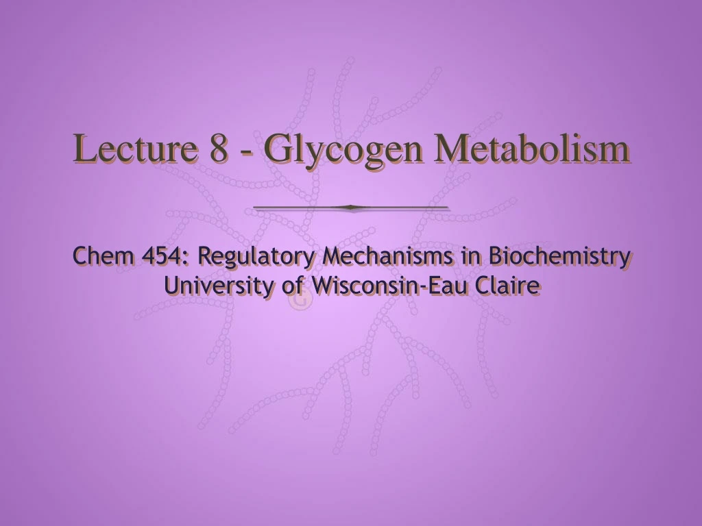 lecture 8 glycogen metabolism