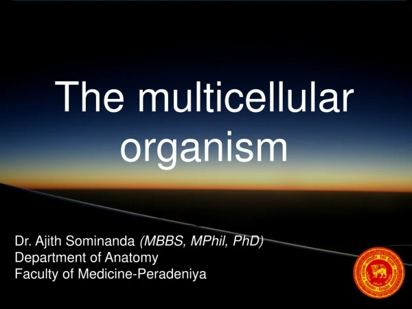 The multicellular organism