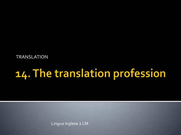 14. The  translation profession