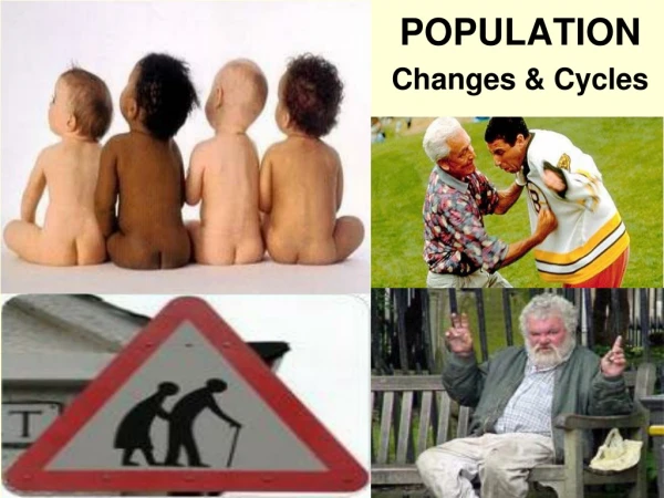 POPULATION Changes &amp; Cycles