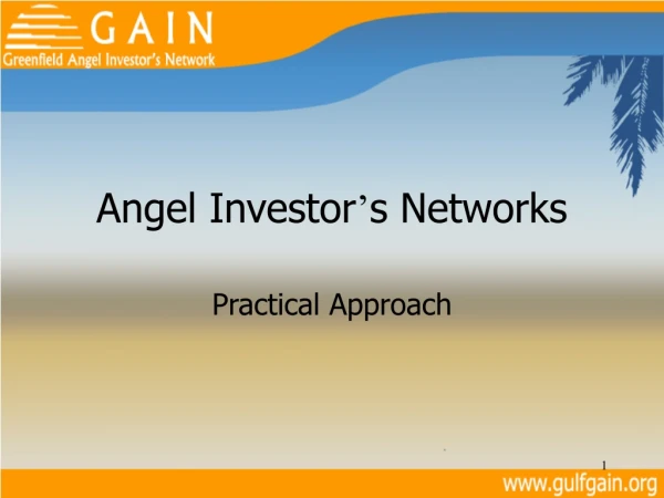 Angel Investor ’ s Networks