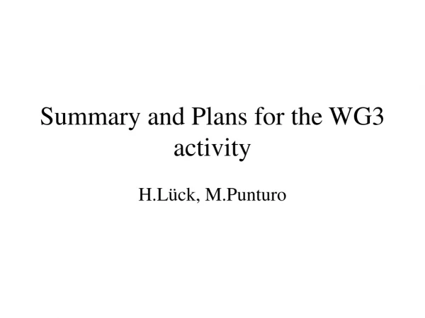 Summary and Plans for the WG3 activity
