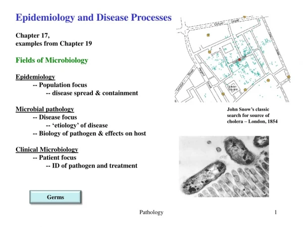 Epidemiology and Disease Processes Chapter 17,  examples from Chapter 19 Fields of Microbiology