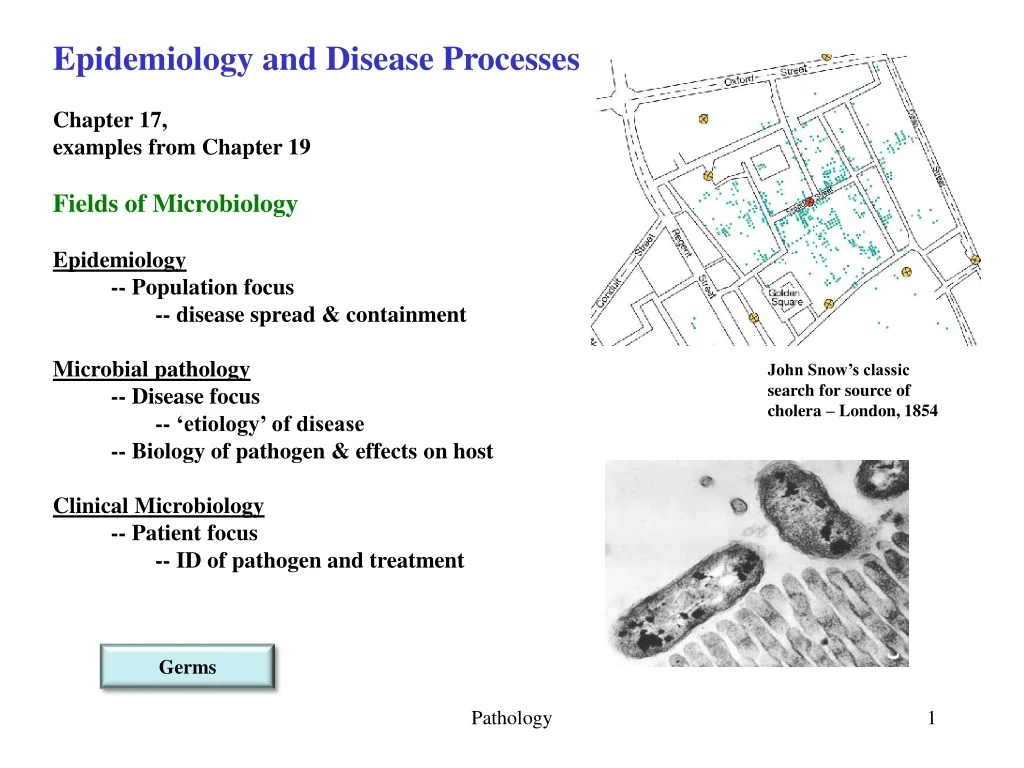 epidemiology and disease processes chapter