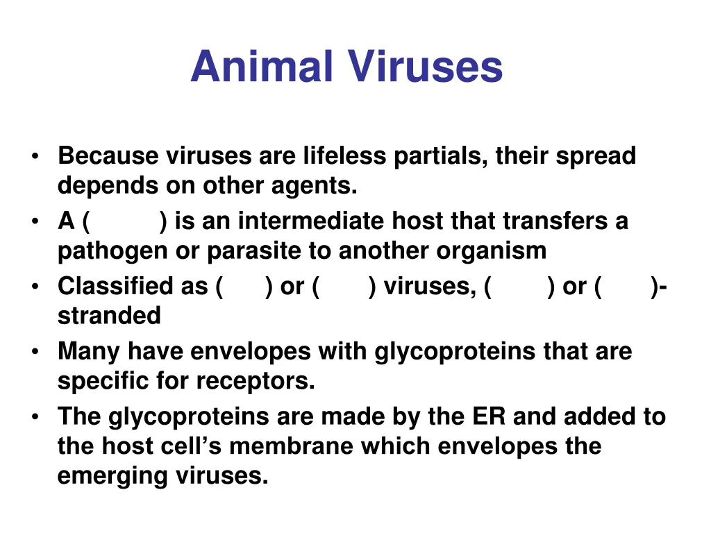 animal viruses