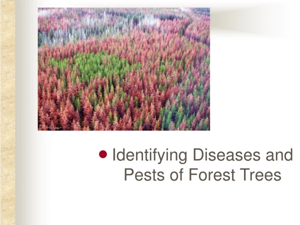 Identifying Diseases and Pests of Forest Trees