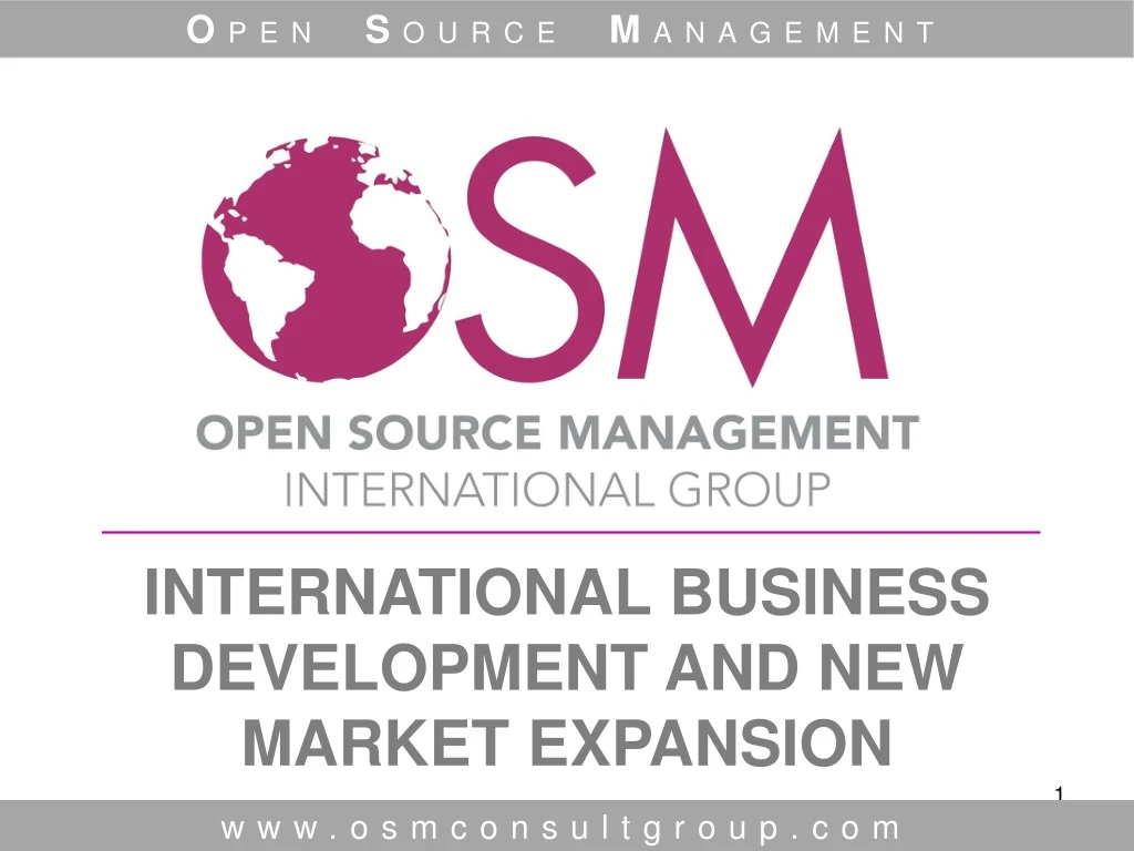 international business development and new market expansion