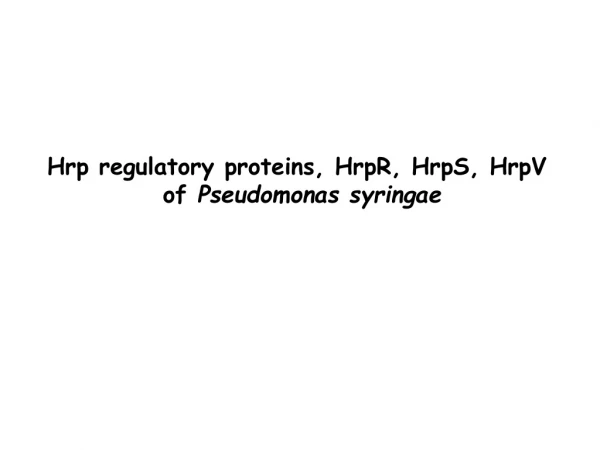 Hrp regulatory proteins, HrpR, HrpS, HrpV  of  Pseudomonas syringae