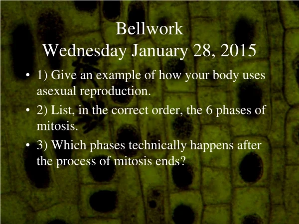 Bellwork Wednesday January 28, 2015