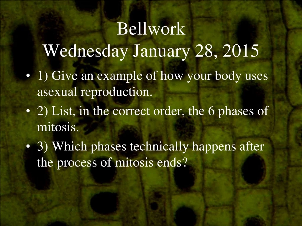 bellwork wednesday january 28 2015