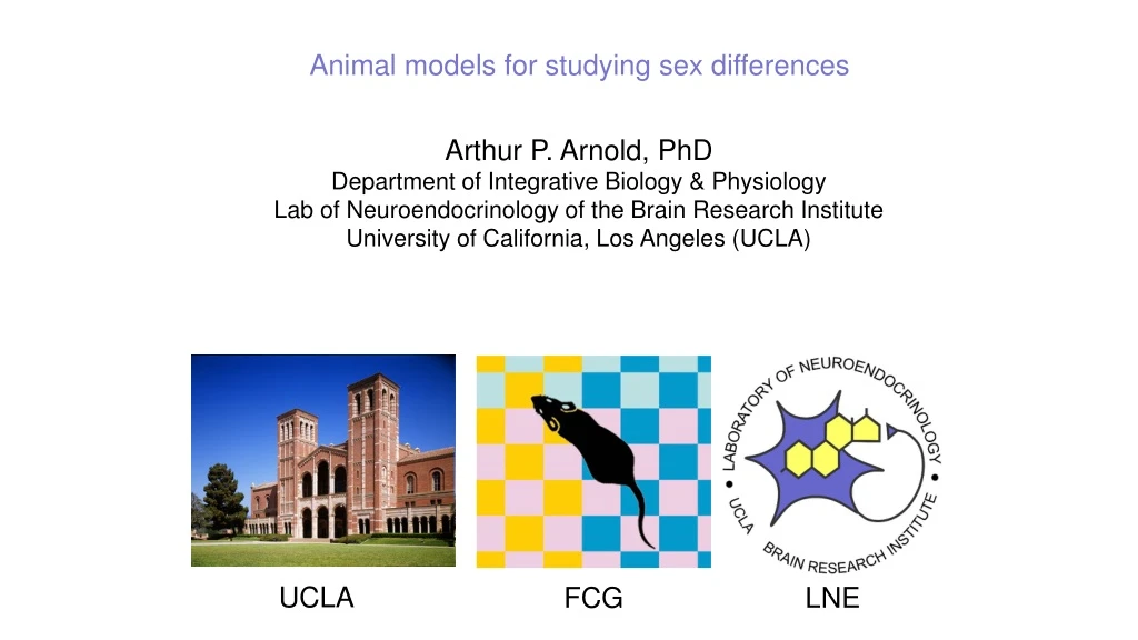 animal models for studying sex differences