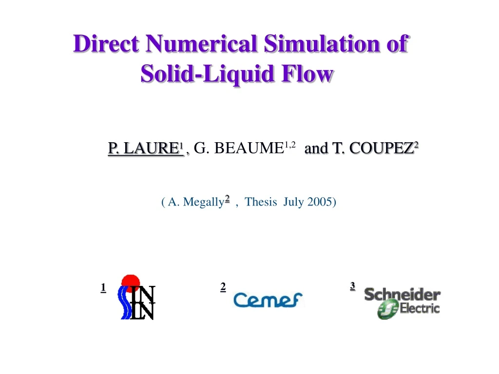 direct numerical simulation of solid liquid flow