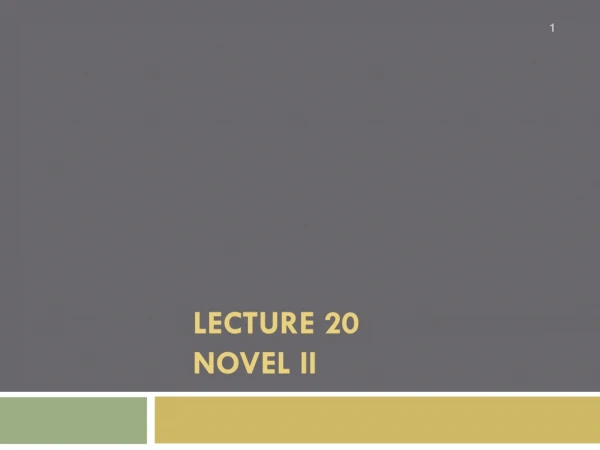 Lecture 20 NOVEL II