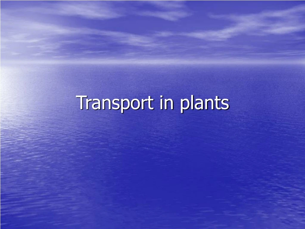 transport in plants