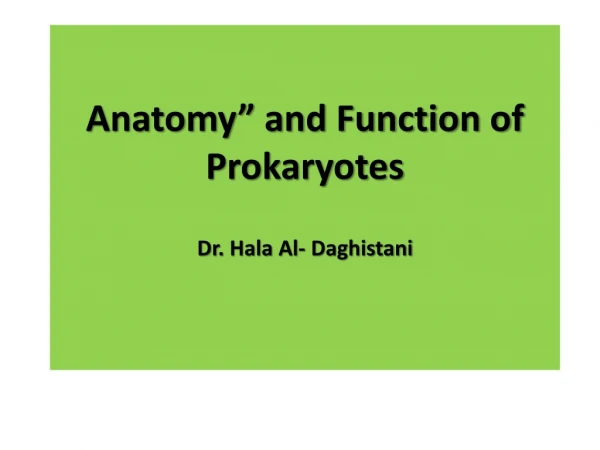 Anatomy” and Function of Prokaryotes Dr.  Hala  Al-  Daghistani