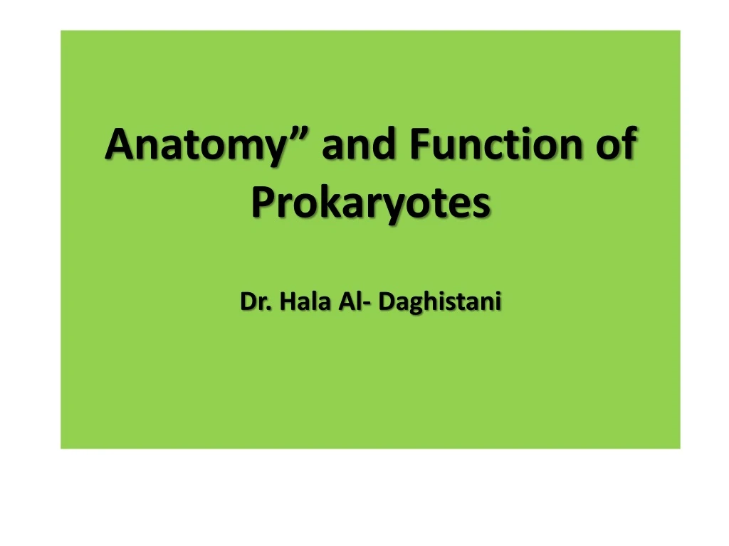 anatomy and function of prokaryotes dr hala al daghistani