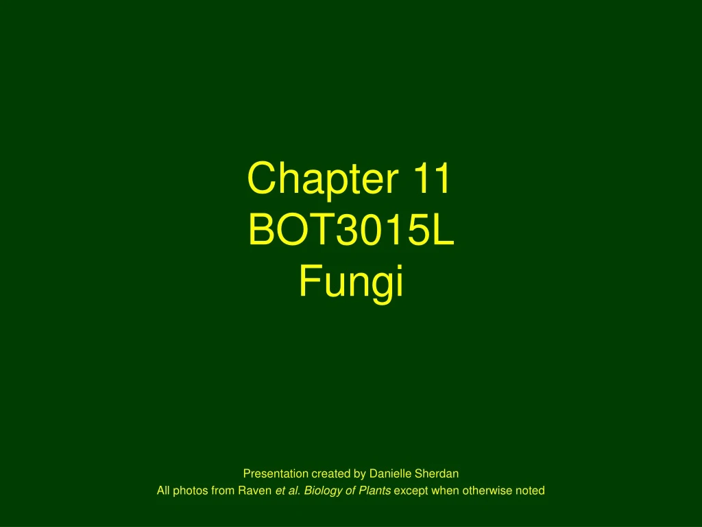 chapter 11 bot3015l fungi