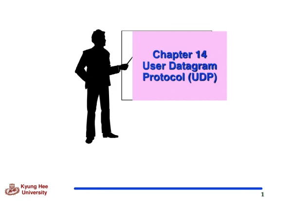 Chapter 14  User Datagram Protocol (UDP)