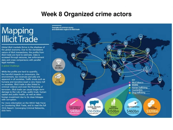 Week 8 Organized crime actors