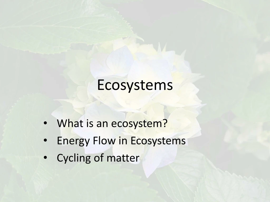 ecosystems