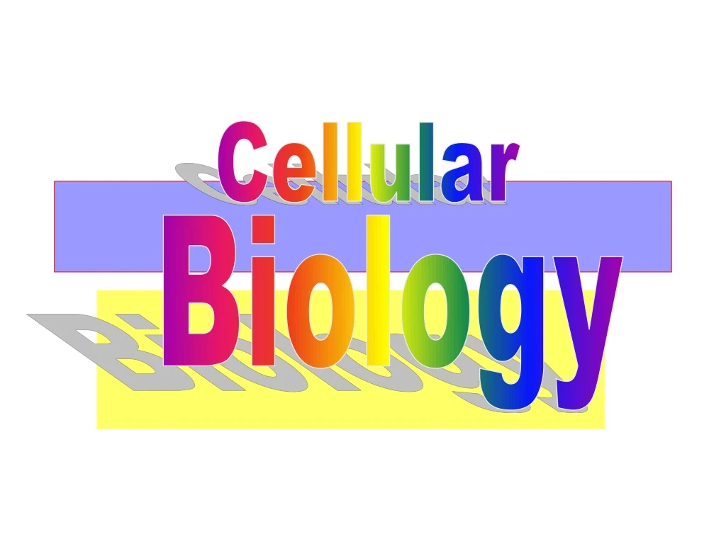 cellular