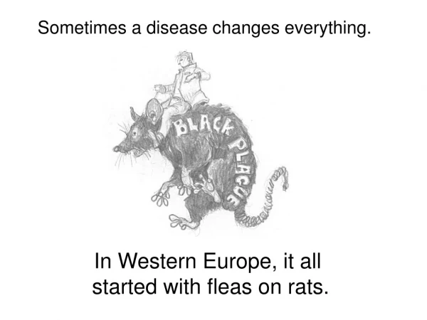 In Western Europe, it all  started with fleas on rats.