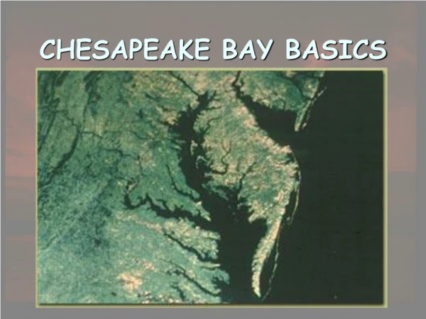 CHESAPEAKE BAY BASICS