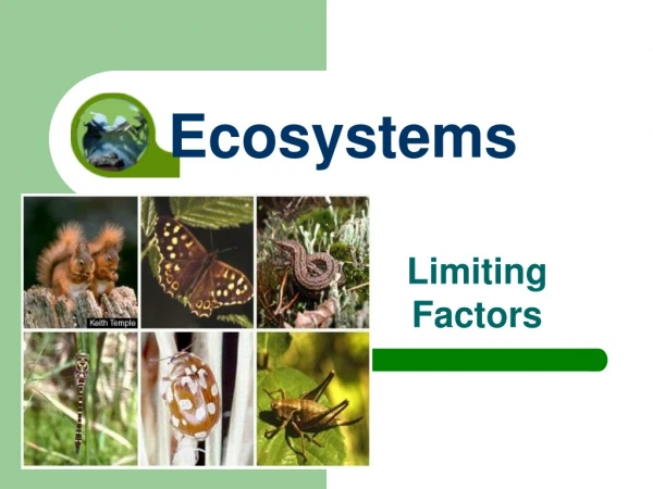 Ecosystems