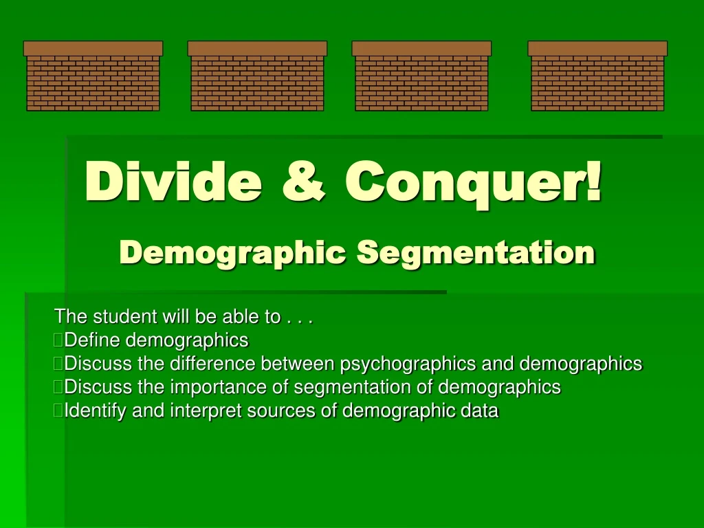 divide conquer demographic segmentation