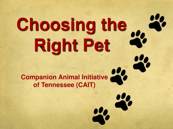 Choosing the                Right Pet