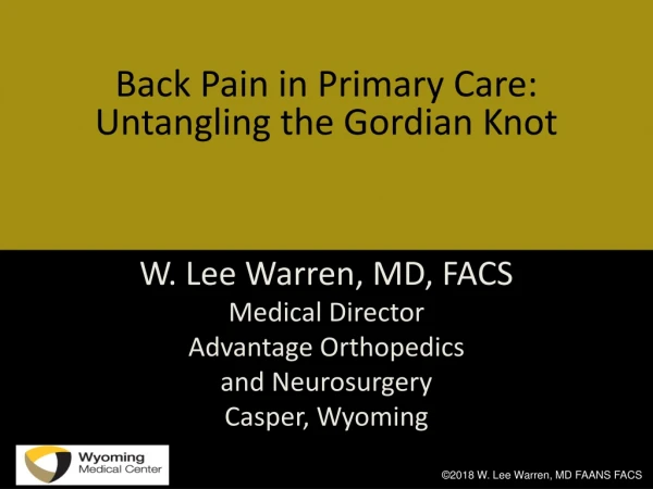 Back Pain in Primary Care:  Untangling the Gordian Knot