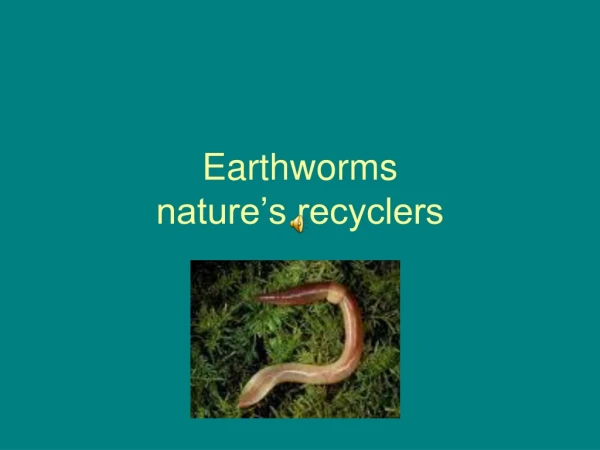 Earthworms nature’s recyclers