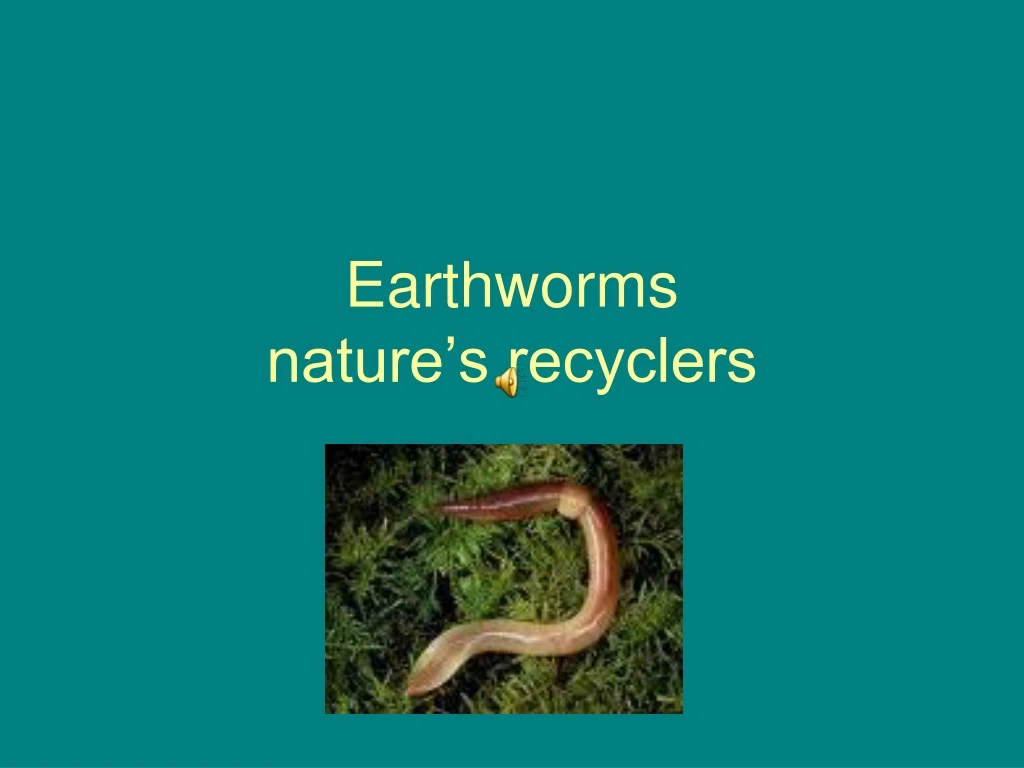 earthworms nature s recyclers