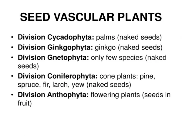 SEED VASCULAR PLANTS