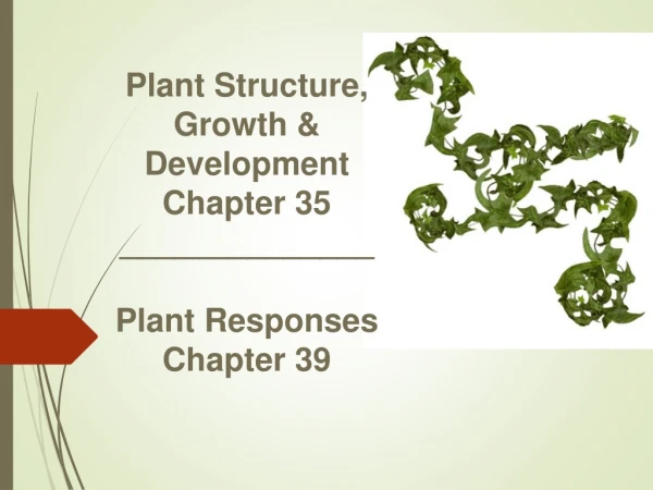 Plant Structure,  Growth &amp; Development Chapter 35 ______________ Plant Responses Chapter 39