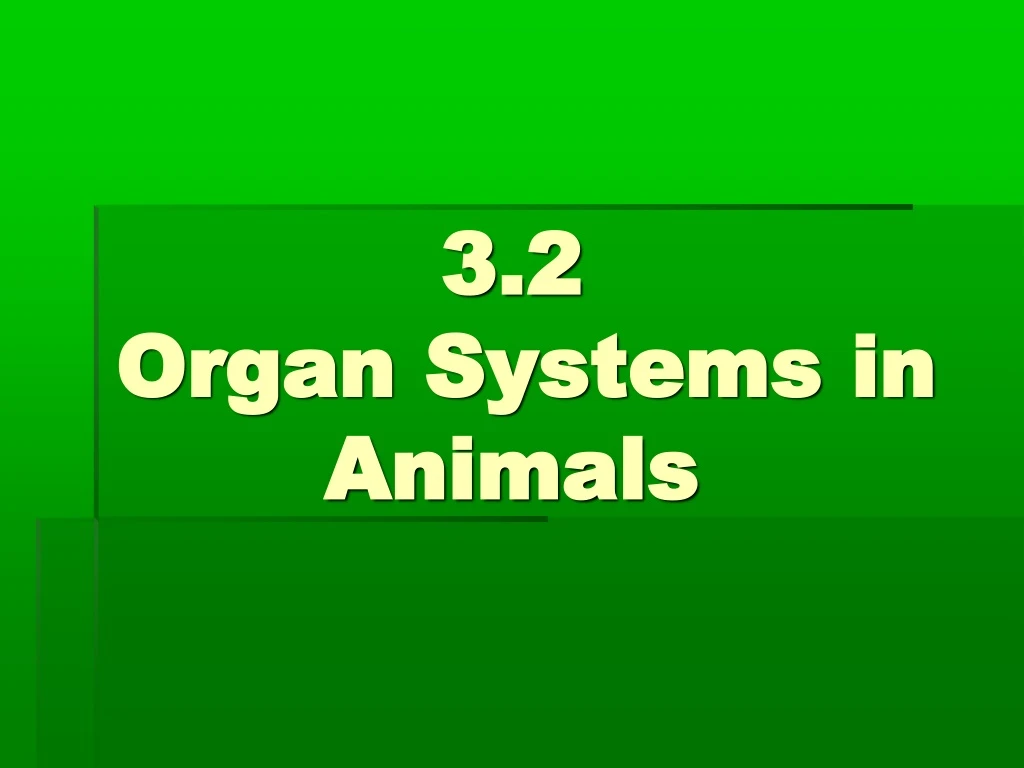 3 2 organ systems in animals