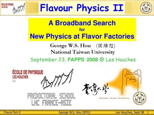 A Broadband Search for New Physics at Flavor Factories
