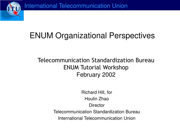 ENUM Organizational Perspectives