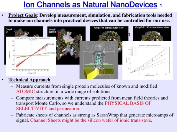 Ion Channels as Natural NanoDevices 1