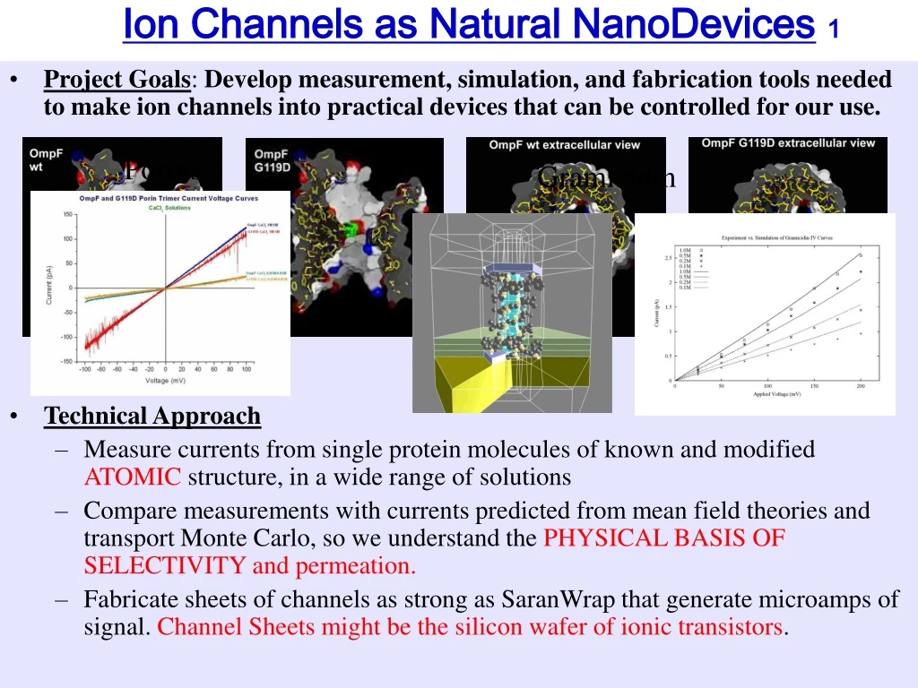 ion channels as natural nanodevices 1