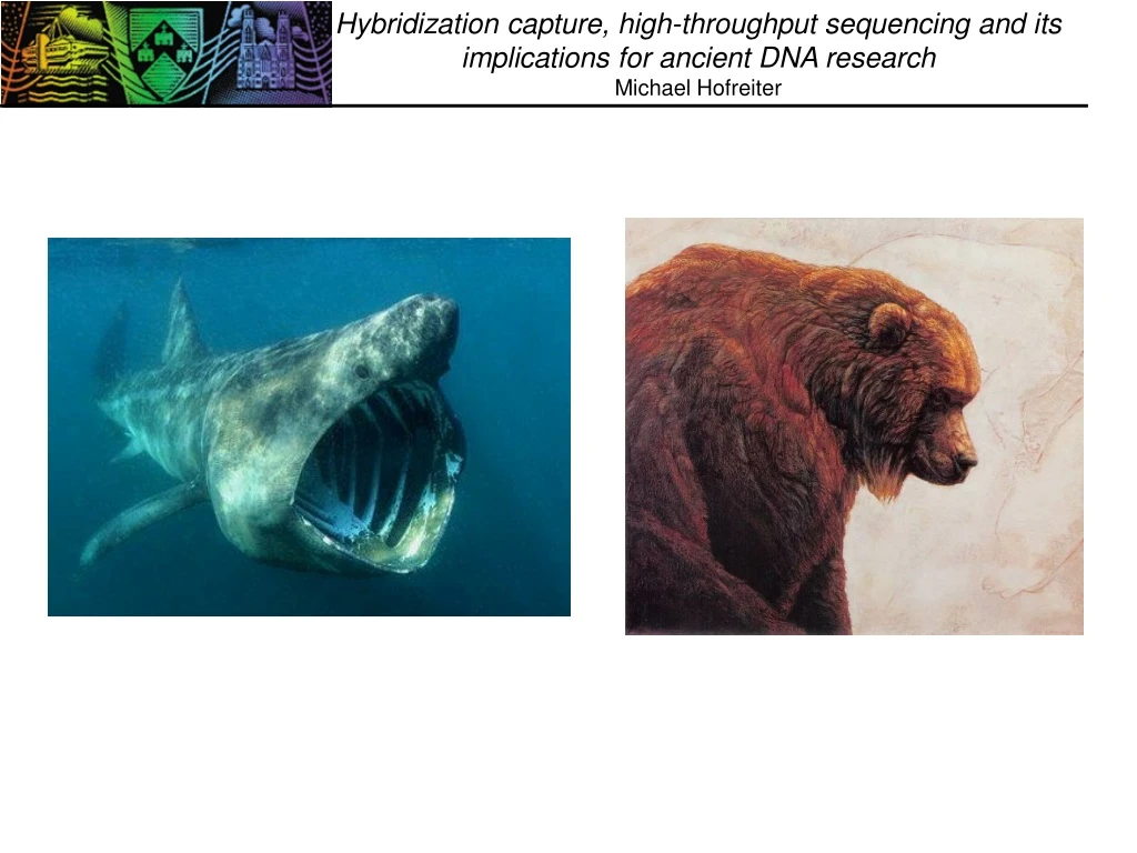 hybridization capture high throughput sequencing