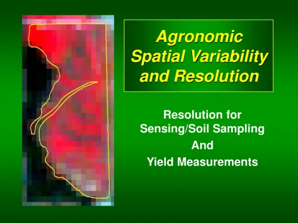 Agronomic Spatial Variability and Resolution