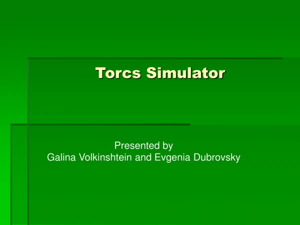 Torcs Simulator