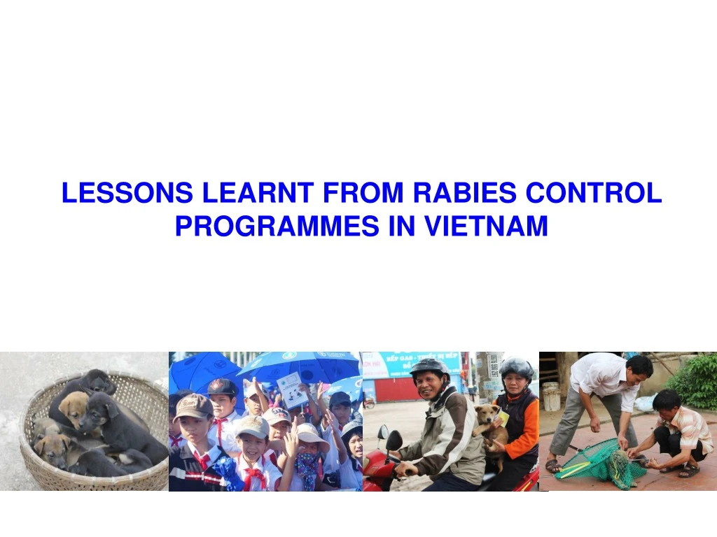 lessons learnt from rabies control programmes