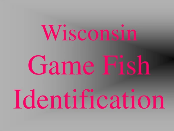 Wisconsin  Game Fish Identification
